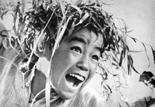 国产强犴电影小视频,热血沸腾的青春传奇