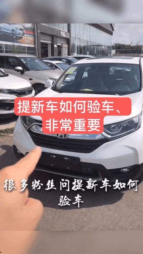 国产xv试驾视频