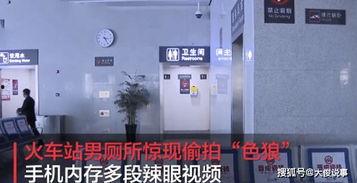 国产性厕所视频在线播放