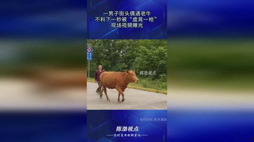 国产在线老牛视频,揭秘国内热门影视作品的幕后故事