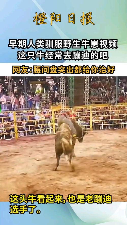 国产在线老牛视频,揭秘国内热门影视作品的幕后故事