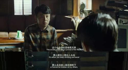 国产做暖爱免费视频,温情满满的爱情故事集锦