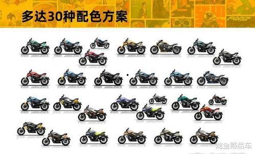 国产两缸摩托视频,性能与魅力的完美融合